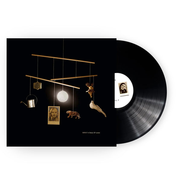 A Study of Losses LP