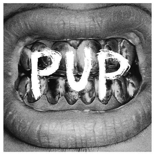 PUP PUP CD CD- Bingo Merch Official Merchandise Shop Official