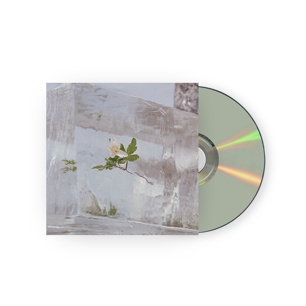 Windflowers CD