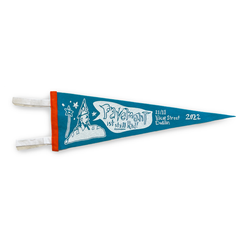 Vicar Street Dublin 2022 Tour Pennant Blue